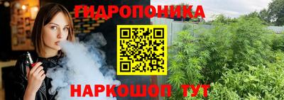 Альфа ПВП Моздок