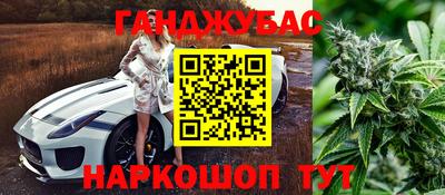 Альфа ПВП Моздок