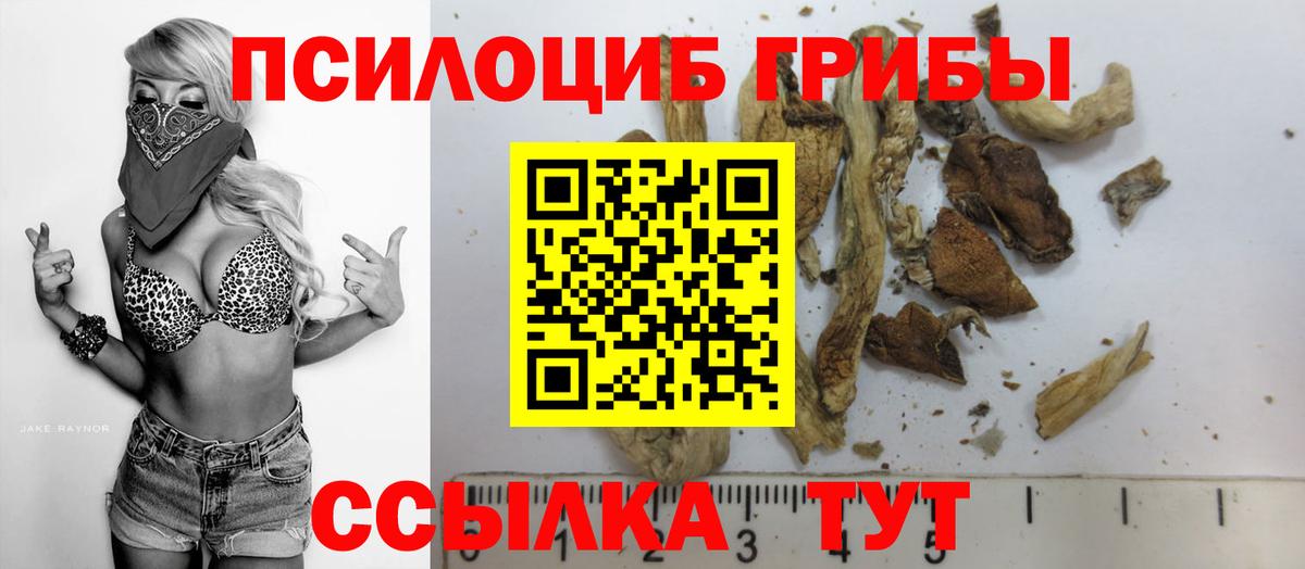 Псилоцибиновые грибы мицелий Фурманов